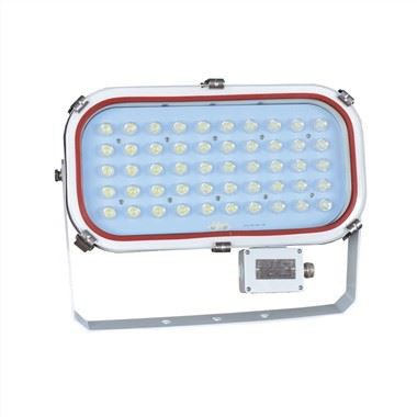 TG20 Led Flood Light 90V